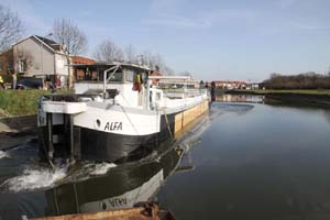 Alfa als walvis op het droge (9)